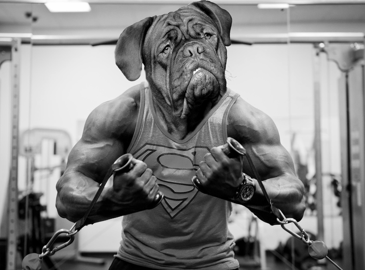 Raccoonpower Fitness Club gallery primary